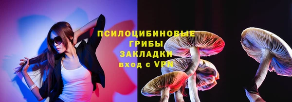 молекула духа Заводоуковск