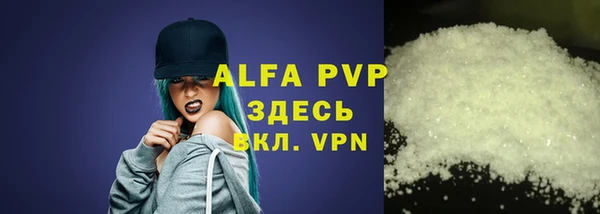 прущие грибы Заволжск