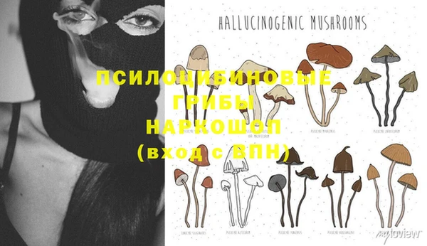 MESCALINE Зерноград