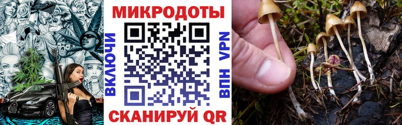 Галлюциногенные грибы GOLDEN TEACHER Зубцов